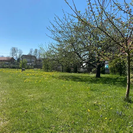 Guest house Gasthof Graf Steingaden